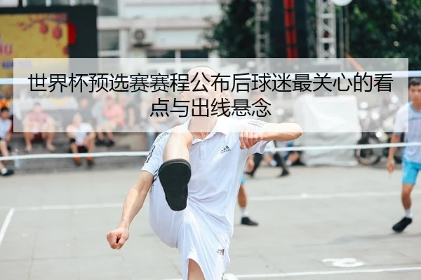 世界杯预选赛赛程公布后球迷最关心的看点与出线悬念