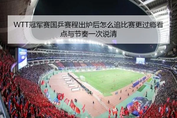 WTT冠军赛国乒赛程出炉后怎么追比赛更过瘾看点与节奏一次说清